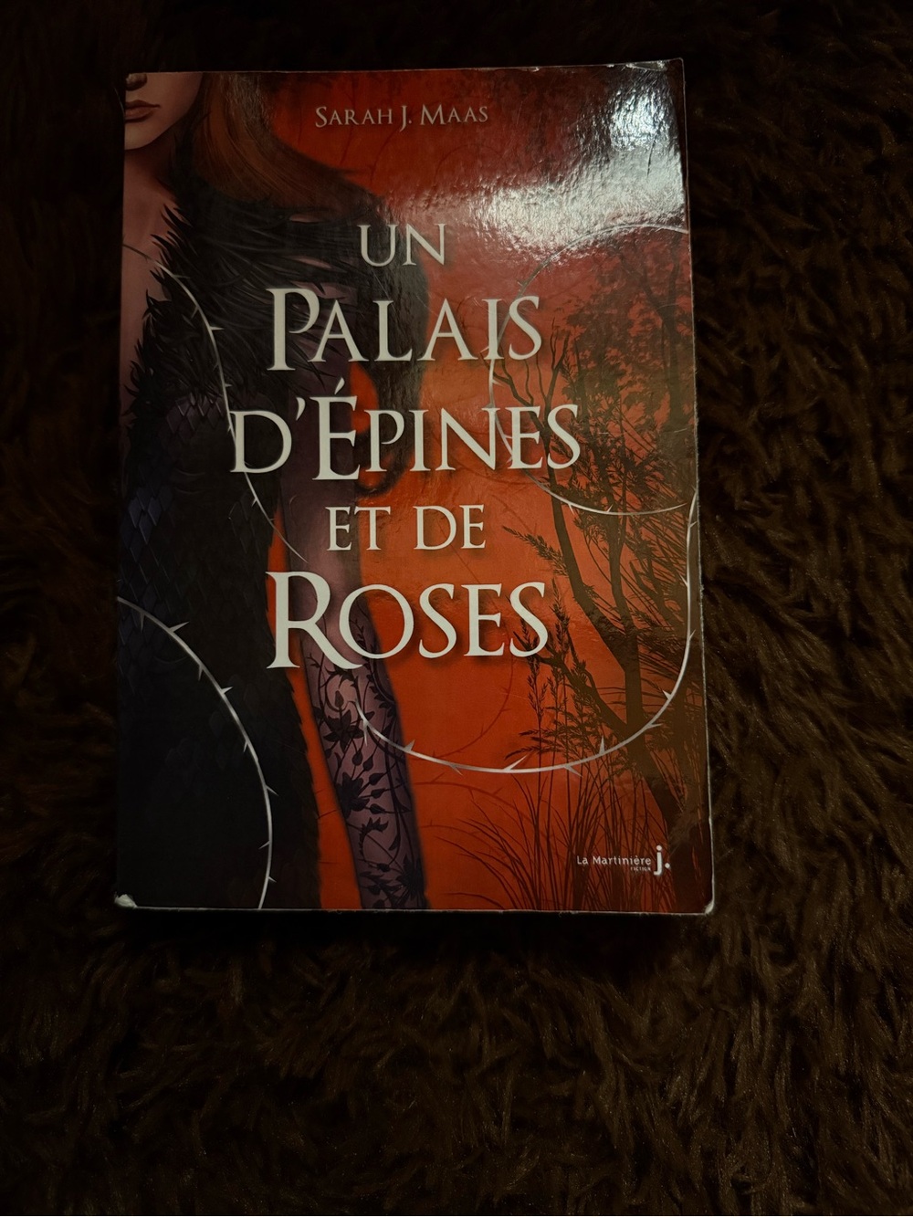 Tome 1 - Un Palais d'Épines et de Roses (Court of thorns and roses